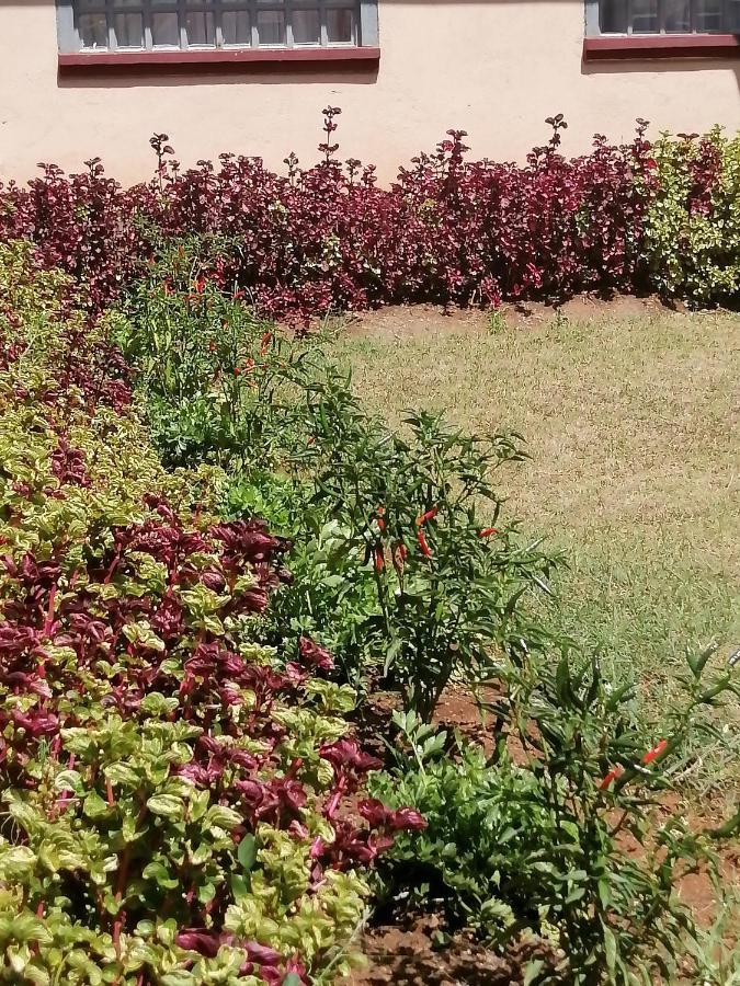The Rhine Guest House - Eldoret Exterior foto