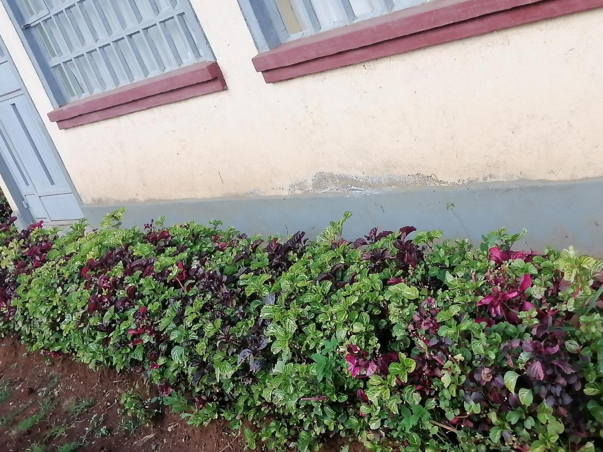 The Rhine Guest House - Eldoret Exterior foto